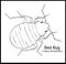 Bedbug Illustrated Poster