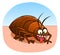 Bedbug on the skin