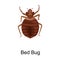 Bedbug vector icon.Cartoon vector icon isolated on white background bedbug .