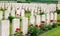 The Bedford House Cemetery world war one Ypres Flander Belgium