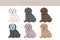 Bedlington terrier puppy clipart. Different coat colors and poses set