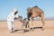 Bedouin, Baby camel and mother camel in Sahara desert among the small sand dunes, beautiful wildlife near oasis. Camels walking in