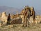 Bedouin boy and camel