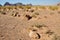 Bedouin burial ground