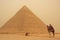 Bedouin on a camel near Pyramid of Khafre in a sand strom, Cairo