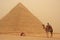 Bedouin on a camel near Pyramid of Khafre in a sand strom, Cairo