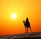 Bedouin on camel silhouette against sunrise