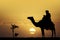 Bedouin on camel at sunset
