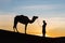 Bedouin and camel on way through sandy desert Beautiful sunset with caravan on Sahara, Morocco Desert, Africa