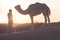 Bedouin and camel on way through sandy desert Beautiful sunset with caravan on Sahara, Morocco Desert, Africa
