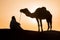 Bedouin and camel on way through sandy desert Beautiful sunset with caravan on Sahara, Morocco Desert with camel and nomads