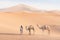 Bedouin and camel on way through sandy desert Nomad leads a camel Caravan in the Sahara during a sand storm in Morocco Desert.