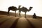 Bedouin and camel on way through sandy desert Nomad leads a camel Caravan in the Sahara during a sand storm in Morocco Desert.