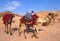 Bedouin camels in Petra, Jordan