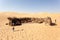 Bedouin camp in the desert