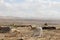 Bedouin camp in Jordan