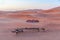 Bedouin camp in the Sahara desert