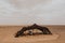 Bedouin camp tent in Sahara desert, Africa.