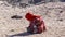 Bedouin children entertain tourists. Kids of the Sahara desert. An aboriginal child with a bottle of water