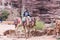 Bedouin - the driver rides a camels and holds several camels in Petra - the capital of the Nabatean kingdom in Wadi Musa city in J