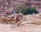 Bedouin - the driver rides a camels and holds several camels in Petra - the capital of the Nabatean kingdom in Wadi Musa city in J