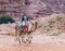 Bedouin - the driver rides a camels and holds several camels in Petra - the capital of the Nabatean kingdom in Wadi Musa city in J