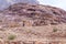 Bedouin - the driver rides a donkey and holds three camels in Petra - the capital of the Nabatean kingdom in Wadi Musa city in Jor