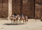 Bedouin guided on camels near Royal tombs. Petra. Jordan.