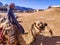 A Bedouin and his camel by the Sea near Cottages in a Camp in Sinai