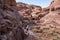 A bedouin and his dog on a hiking trail to the summit of the Mount Sinai, Egypt.