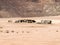 Bedouin home in Wadi Rum