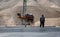 Bedouin man wait tourist near his dromedary in Jericho
