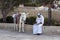 Bedouin man wait tourist near his mule in Jerusalem