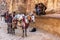 Bedouin men with their horses and donkeys at the Treasury in Petra, Jordan.