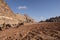 Bedouin nomads camp with camels