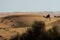 Bedouin rides on camel through the sandy desert in Dubai