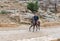 Bedouin riding an Arabian steed along the road leading from Petra - the capital of the Nabatean kingdom in Wadi Musa city in Jorda