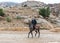 Bedouin riding an Arabian steed along the road leading from Petra - the capital of the Nabatean kingdom in Wadi Musa city in Jorda