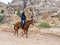 Bedouin riding an Arabian steed along the road leading from Petra - the capital of the Nabatean kingdom in Wadi Musa city in Jorda