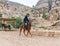 Bedouin riding an Arabian steed along the road leading from Petra - the capital of the Nabatean kingdom in Wadi Musa city in Jorda