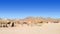 Bedouin village in desert, Egypt - February 2020: a lot of camels resting in bedouin village, long view. Woman in nikab