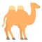 Bedouins camel icon cartoon vector. Tent camp