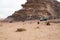 Bedouins rest in the wadi rum desert. Camels and an old truck