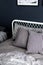 Bedroom corner setting with comfortable graphic pillows in neutral color with navy blue painted wall/ comfortable interior / inter