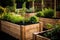 Beds in garden growing plants, herbs and vegetables