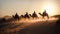 Beduin\\\'s caravan in African desert at sunset