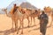 Beduin and their camels