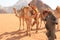 Beduin and their camels