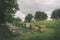 Bee apiary standing near the forest in the fields