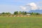 Bee Boxes and Large Commercial Blueberry Farm